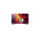 Sony KD-49XH9505 - 578568 - zdjęcie 12